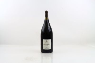 1 Magnum de GEVREY-CHAMBERTIN En Champs 2015 du Domaine Jean…