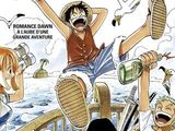 one piece, tome 1