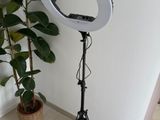 une plante en pot posée à côté d'une lampe montée sur un trépied