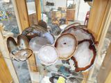 a glass display case filled with lots of different types of rocks
