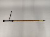 an image of a wooden stick with a needle on it
