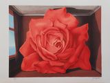 une image représentant un tableau d'une rose rouge dans une boîte