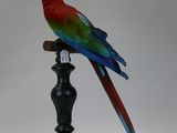 a red and green parrot sitting on top of a black pole