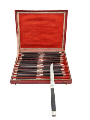 a red case with six knives in it and a knife in it