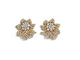 Photo 1/2 du lot