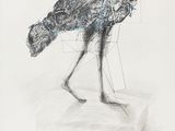 dessin d'une autruche debout sur une feuille de papier