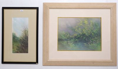 deux tableaux encadrés représentant des arbres, accrochés côte à côte sur un mur