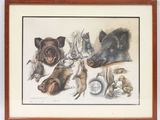 tableau représentant un groupe d'animaux, encadré dans un cadre en bois et accroché au mur