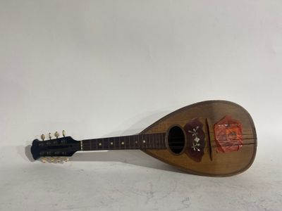 Mandoline en bois porte étiquette du luthier Luigi EUVINGINO