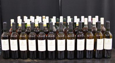 Des bouteilles de vin sont alignées sur une table devant un fond noir.