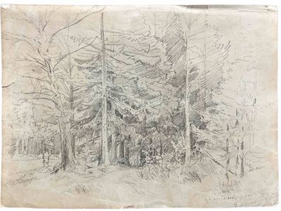 dessin au crayon représentant une zone boisée avec des arbres et un banc