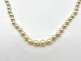 a single strand of white pearls on a white background