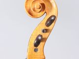 a close up of a violin with the back end of the violin