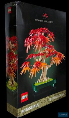 la boîte d'une maquette Lego représentant un arbre aux feuilles rouges
