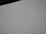 a lot of scratches on the surface of a table