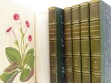 quelques livres ouverts sur une surface blanche