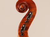 a close up of the back of a violin