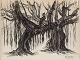 une image représentant un dessin d'un arbre dans une forêt