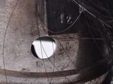 a close up of a horse ' s head with a hole in it ' s forehead