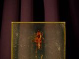 an old photo of a horse in a glass box on a table