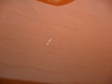 a close up picture of a toilet with the lid down