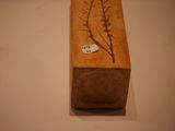 a small wooden block with a plant on it