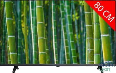a picture of a picture of a tv with a bamboo tree on the screen