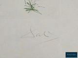a picture of a drawing of a flower on a piece of paper