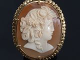 an antique carved shell cameo of a woman in profile