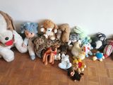 beaucoup de peluches posées par terre