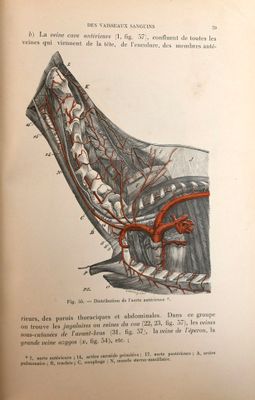 un livre ouvert sur lequel figure le dessin d'un pied et d'une veine