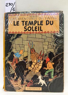 french children ' s book, le temple du soleil