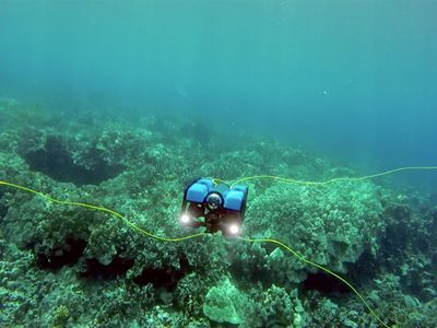un petit robot qui se trouve au fond de l'océan