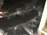 a person that is cutting a piece of black hair