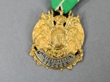 a gold medal with a green ribbon around it