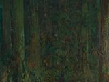 une image représentant un tableau d'une forêt avec des arbres et de l'eau
