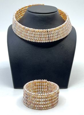 Parure comprenant un collier de chien et un bracelet articul…