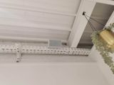 une plante suspendue au plafond de la pièce