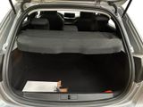 the back of a car with its trunk open and the seat folded down