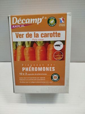 une boîte de carottes posée sur une table