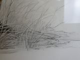 un dessin au crayon représentant un chat assis dans l'herbe