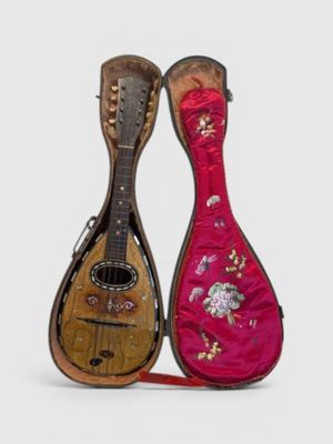 une paire d'instruments de musique dans un étui, sur fond blanc
