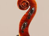 a close up of the back of a violin