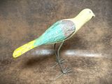 a yellow and green bird that is standing on a brown surface