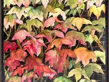 a picture of a painting of leaves in a black frame