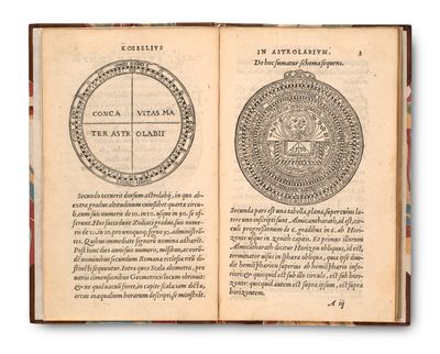 un livre ouvert sur lequel figure l'image d'un phoque