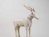 a white deer with antlers on it ' s head