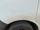 a cat sitting on the side of a white car