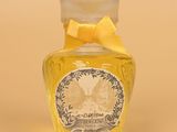 an image of a bottle of liquid with a bow on top