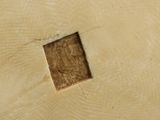 a piece of wood that has been cut in half